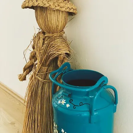 Farmer-rabensteiner